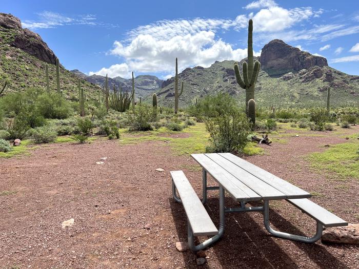 A picnic table sits near a cacti.Each site has a picnic table and grill and is surrounded by cacti and other desert plants.