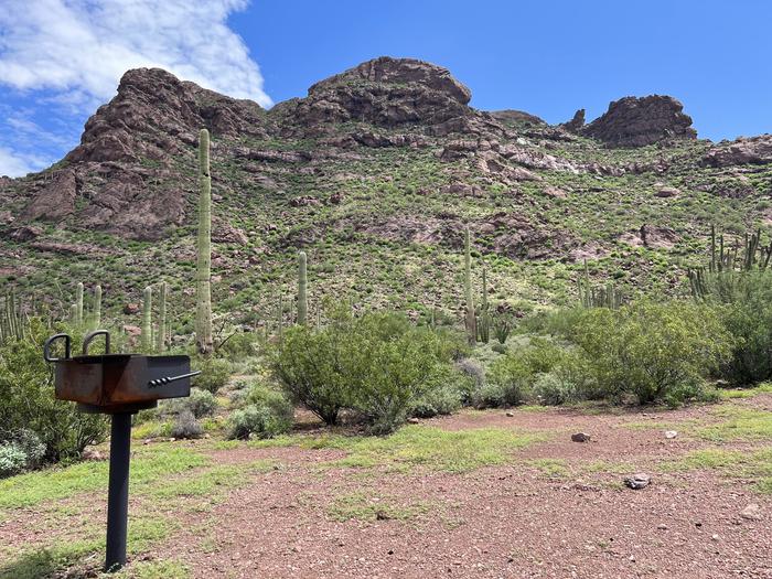 A grill and desert vegetation with a mountain in the background.Alamo Canyon has a scenic mountainous backdrop.