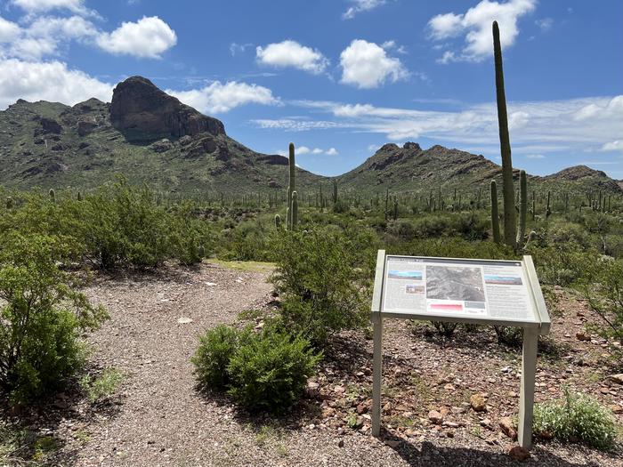 A wayside sign stands at the beginning of the Alamo Canyon trail.