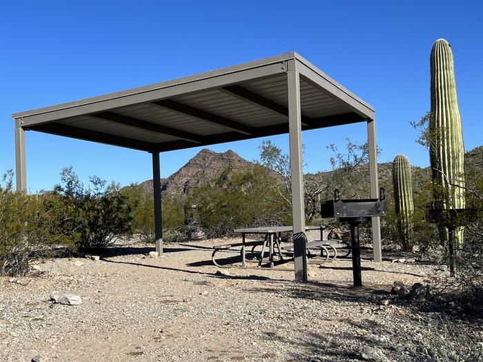 Large open camping area with a sunshade that is surrounded by cactus and desert vegetationGroup Site 1