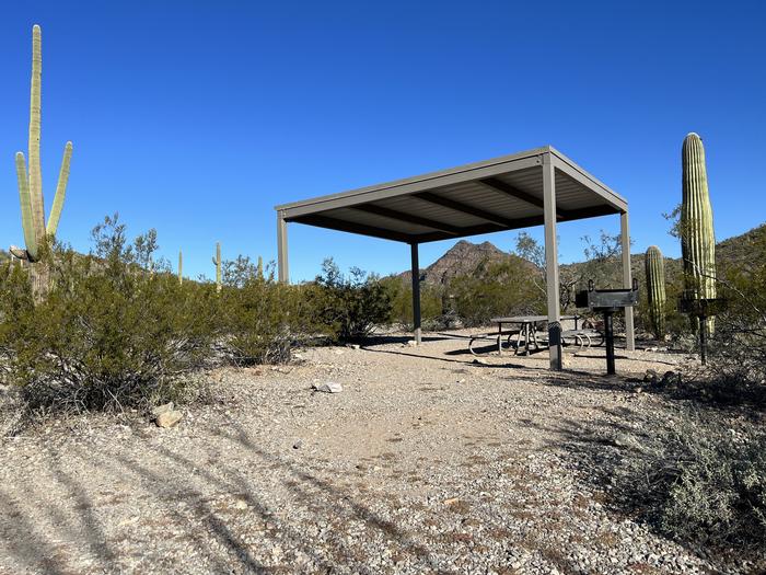 The picnic table, grill, and shade shelterEach site has a picnic table and grill and is surrounded by cacti and other desert plants.