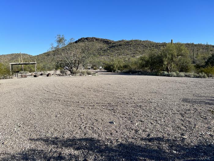The driveway of the site with the picnic table and grill surrounded by desert plantsThere is a large area for parking and to pitch tents.