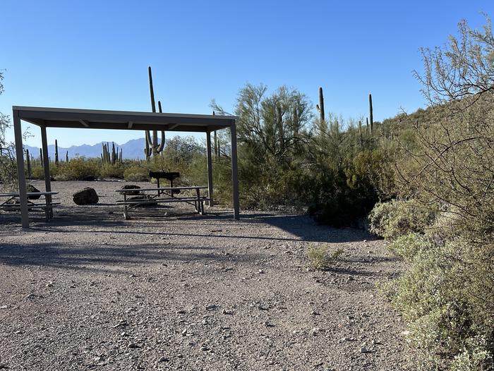 Large open parking area with sunshade surrounded by cactus and desert vegetation.