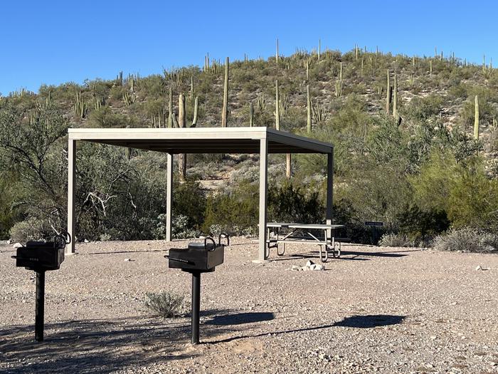 Small group tent camping area with sunshade, picnic table, and grill surrounded by cactus and desert vegetation.