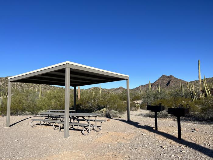 A picnic table sits near a grill and desert vegetation with a shade shelter.Each site has picnic tables and grills.