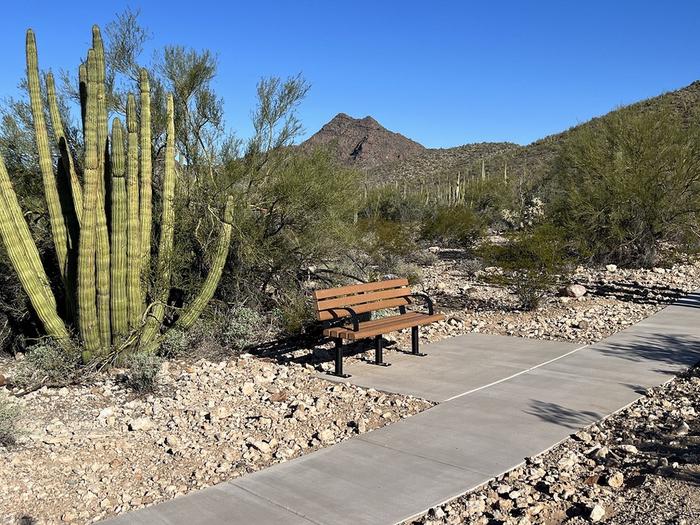 A bench sits near an organ pipe by a sidewalk along the Perimeter trail.The ADA accessible section of the Campground Perimeter trail features benches to rest.