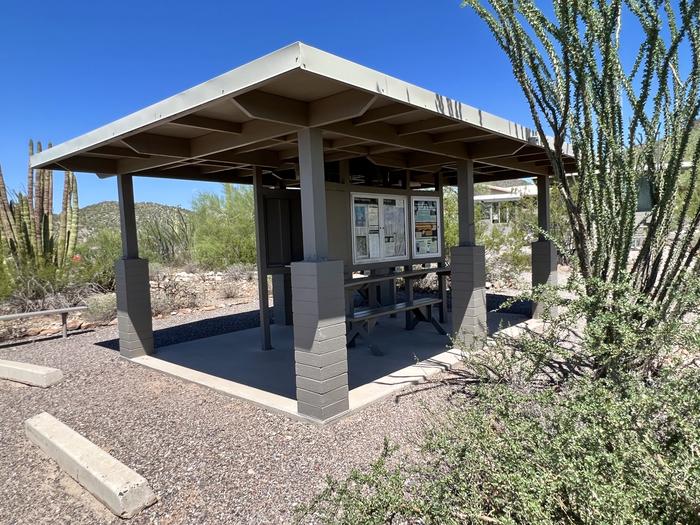 The ramada near the entrance kiosk, with a leafing ocotillo nearby.The shade ramada located near the entrance kiosk features wall outlets, information, and a Free Little Library.  The ocotillos nearby are a beautiful sight to see when in bloom.
