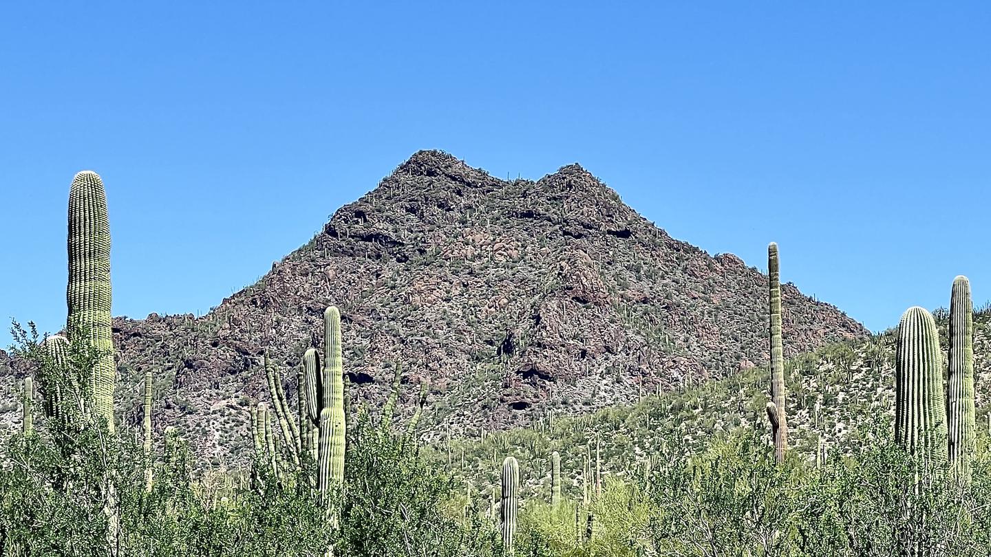 Twin Peaks mountain with cacti and desert plants around it.Twin Peaks Mountain, where the campground gets its name.