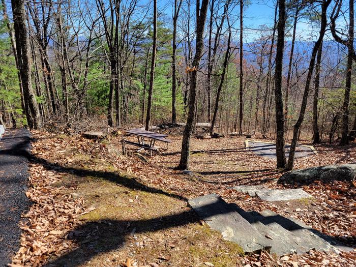 A view of the stairs that lead down to fire pit, tent pad, and picnic table.