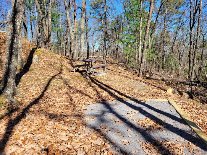 A look at the tent pad and picnic table on site 19.