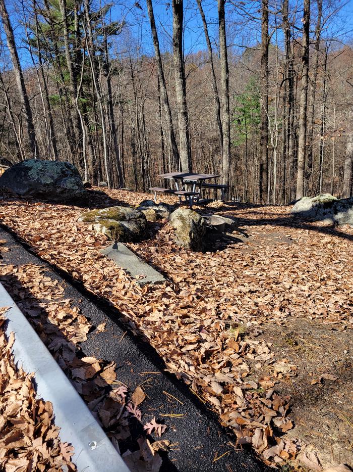 A view of the picnic table and fire pit from the back end of the parking pad.