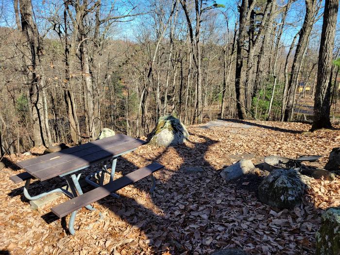 A look at the picnic table, fire pit, and tent pad.