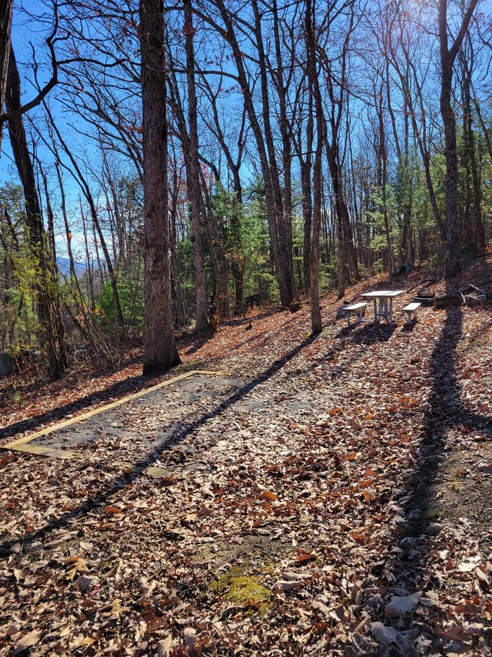 A view of the tent pad, picnic table, and fire pit at site 23.
