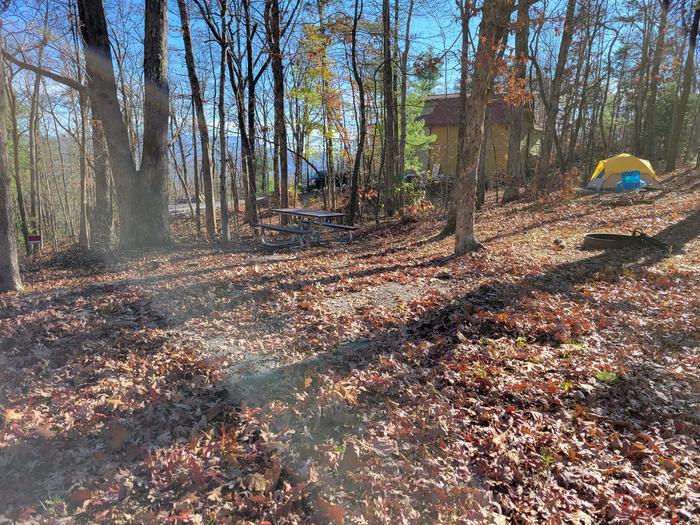 A late Fall view of the tent pad, picnic table, and fire pit.