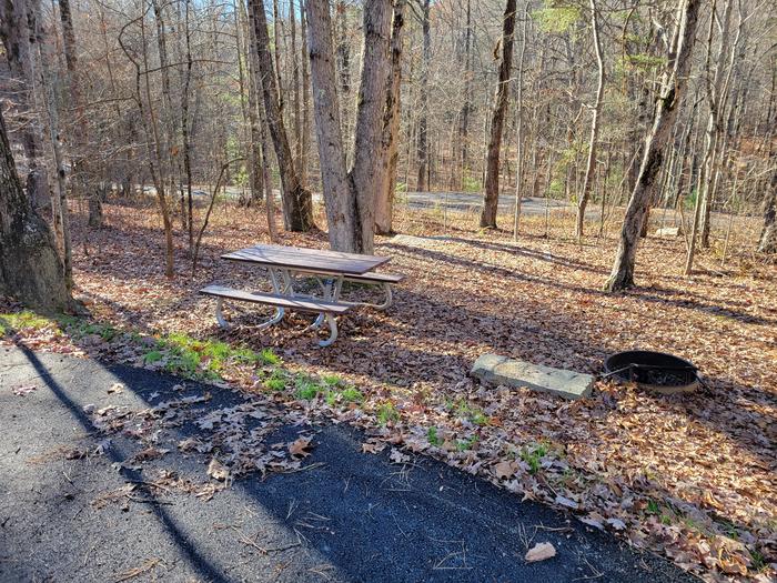 A view of the picnic table, tent pad, and fire pit from the parking pad.