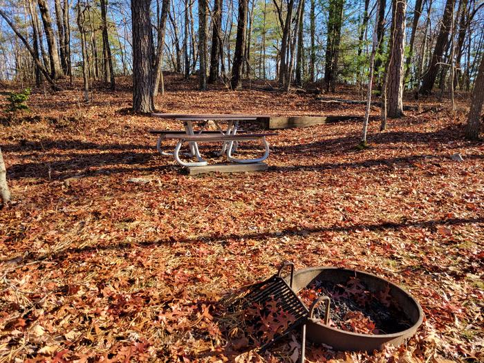A late Fall look at the fire pit, picnic table, and tent pad.