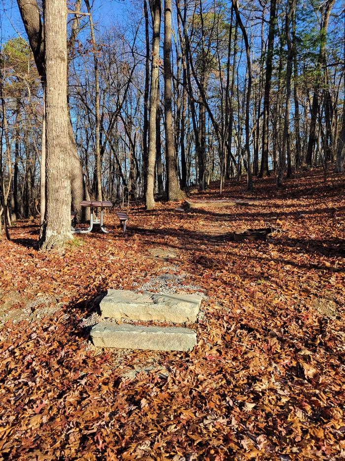 A view of the steps that lead up to the fire pit, picnic table, and tent pad at site 35.