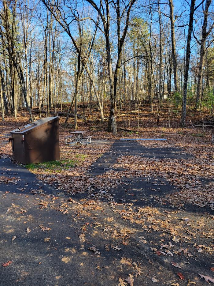 A view of the parking pad at site 41, with the close proximity to the bear proof dumpster installed.