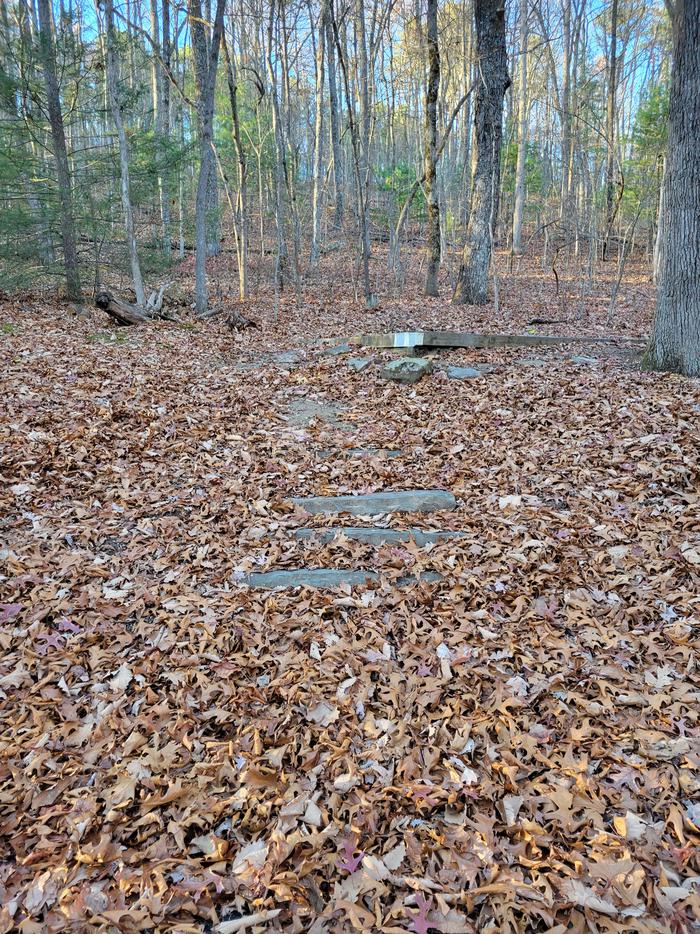 A late Fall view of the stairs leading up to the tent pad from the parking area.