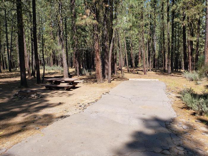 Site DrivewayDriveway is in good condition and is accessible for most vehicles.