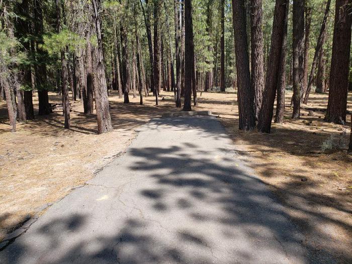 Driveway in good condition suitable for most vehicles.Boulder Creek Site 38 Driveway