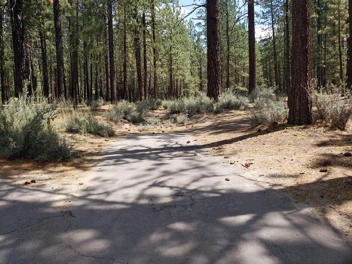 Driveway in good condition suitable for most vehicles, some Boulder Creek Site 40 Driveway