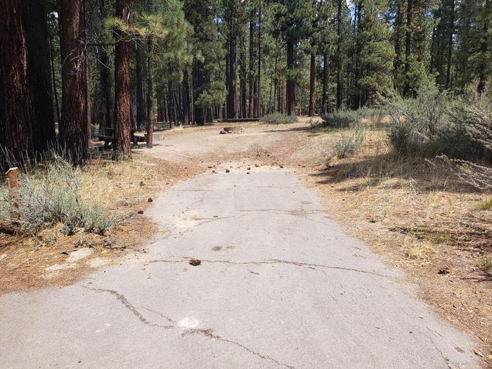 Driveway in good condition suitable for most vehicles.Boulder Creek Site 43 Driveway