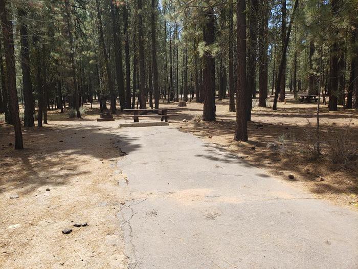 Driveway in good condition suitable for most vehicles.Boulder Creek Site 57 Driveway