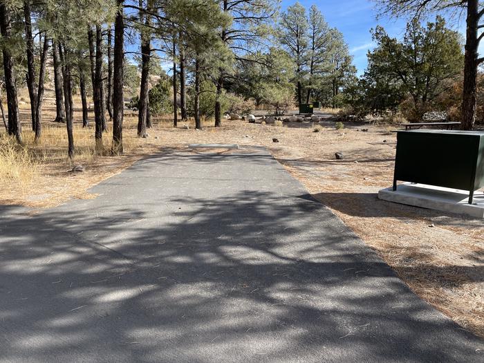A photo of parking area at Site 27 of Loop Black Bear at JUNIPER CAMPGROUND
