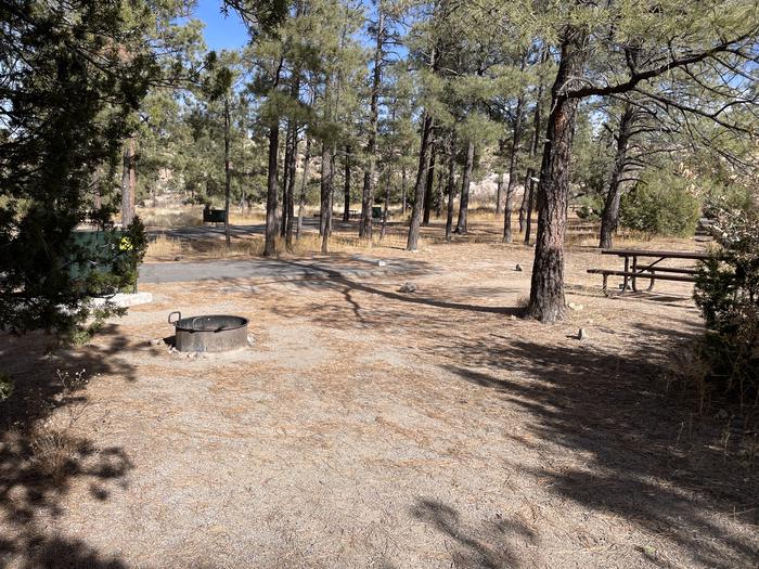 A photo of Site 27 of Loop Black Bear at JUNIPER CAMPGROUND with Picnic Table, Fire Pit