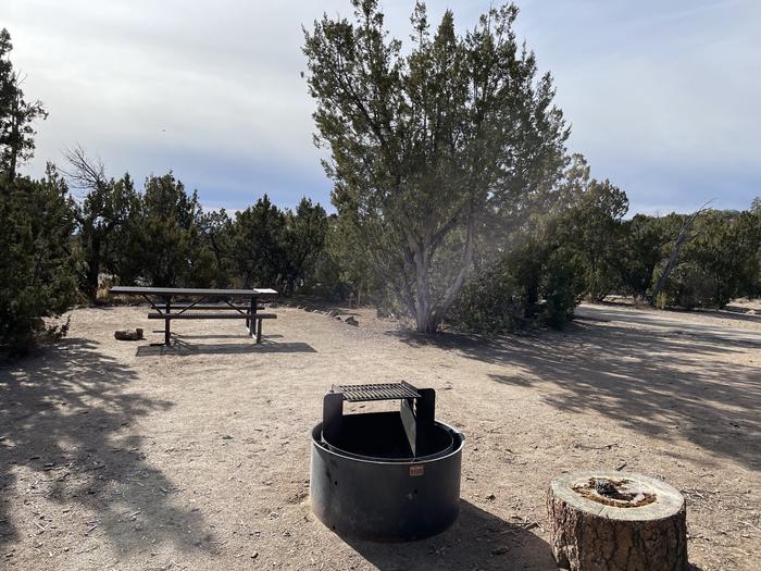 A photo of Site 38 of Loop Black Bear at JUNIPER CAMPGROUND with Picnic Table, Fire PitA photo of Site 38 of Loop Black Bear at JUNIPER CAMPGROUND with Picnic Table, Fire Pit. Walk in site. Tents only. 