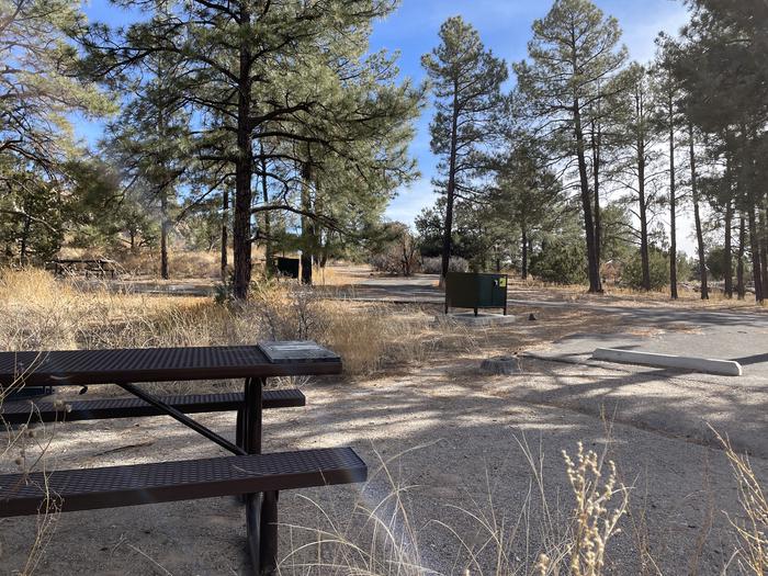 A photo of Site 29 of Loop Black Bear at JUNIPER CAMPGROUND with Picnic Table, Food Storage