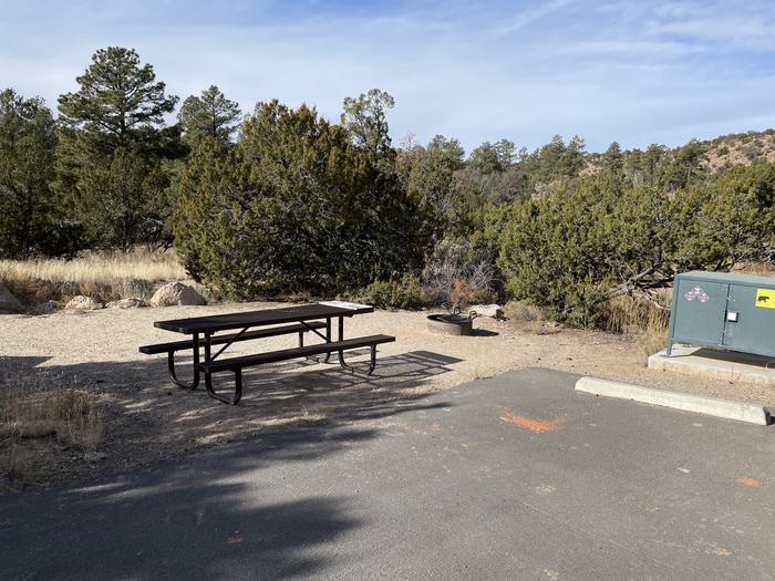 A photo of Site 20 of Loop Black Bear at JUNIPER CAMPGROUND with Picnic Table, Fire Pit, Food Storage