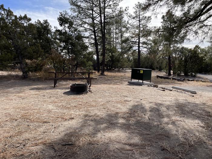 A photo of Site 33 of Loop Black Bear at JUNIPER CAMPGROUND with Picnic Table, Fire Pit, Food Storage