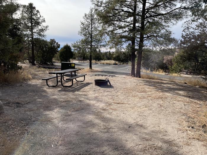 A photo of Site 33 of Loop Black Bear at JUNIPER CAMPGROUND showing entire campsite