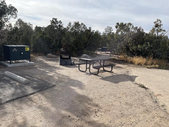 A photo of Site 3 of Loop Abert's Squirrel at JUNIPER CAMPGROUND with Picnic Table, Fire Pit, Food Storage
