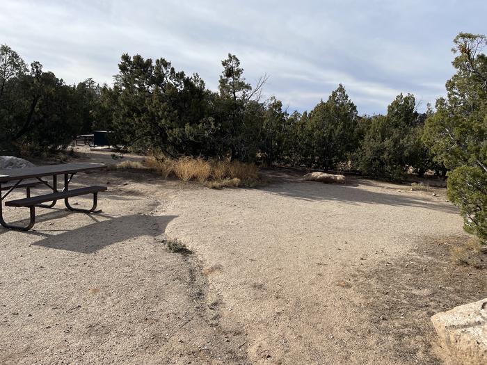 A photo of Site 3 of Loop Abert's Squirrel at JUNIPER CAMPGROUND with Picnic Table