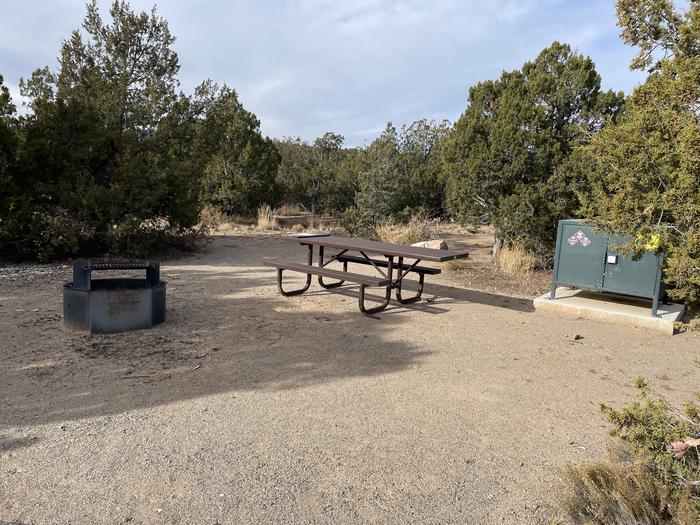 A photo of Site 2 of Loop Abert's Squirrel at JUNIPER CAMPGROUND with Picnic Table, Fire Pit, Food Storage