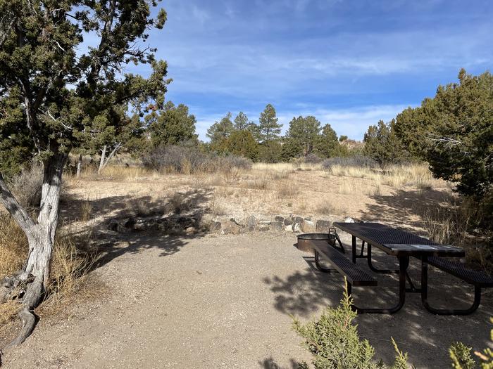 A photo of Site 8 of Loop Abert's Squirrel at JUNIPER CAMPGROUND with Picnic Table, Fire Pit