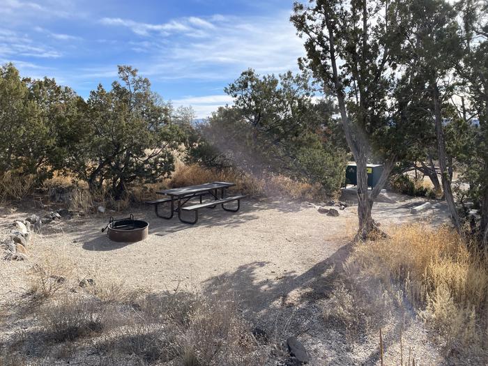 A photo of Site 8 of Loop Abert's Squirrel at JUNIPER CAMPGROUND with Picnic Table, Fire Pit, and bear box for food storage