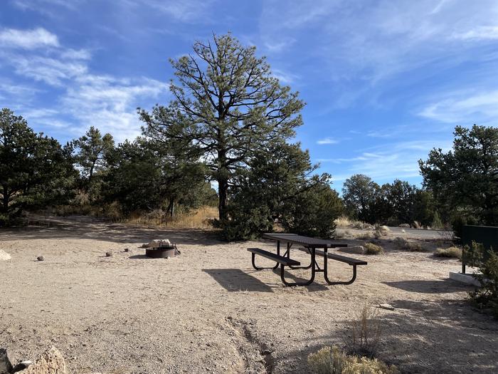 A photo of Site 10 of Loop Abert's Squirrel at JUNIPER CAMPGROUND with Picnic Table, Fire Pit
