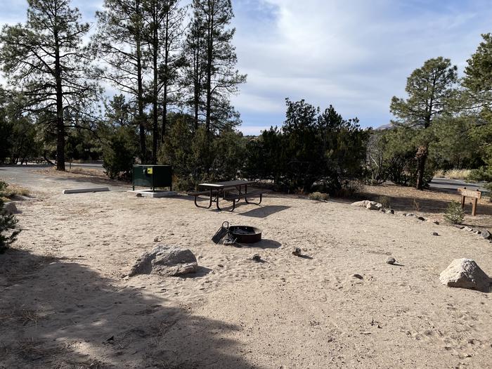 A photo of Site 10 of Loop Abert's Squirrel at JUNIPER CAMPGROUND showing entire campsite
