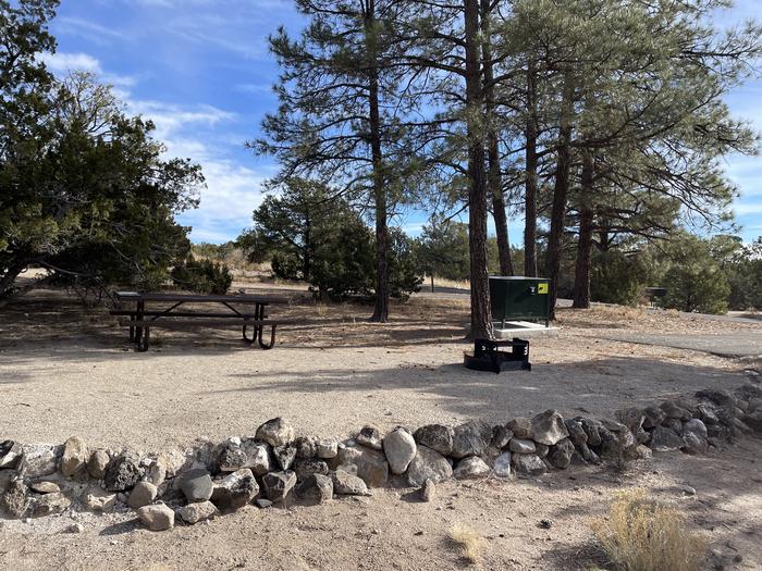 A photo of Site 11 of Loop Abert's Squirrel at JUNIPER CAMPGROUND showing whole camp site