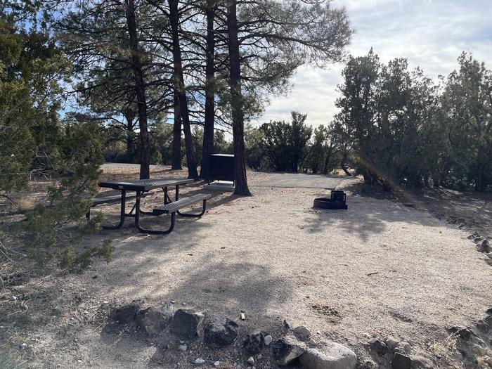 A photo of Site 11 of Loop Abert's Squirrel at JUNIPER CAMPGROUND with Picnic Table, Fire Pit
