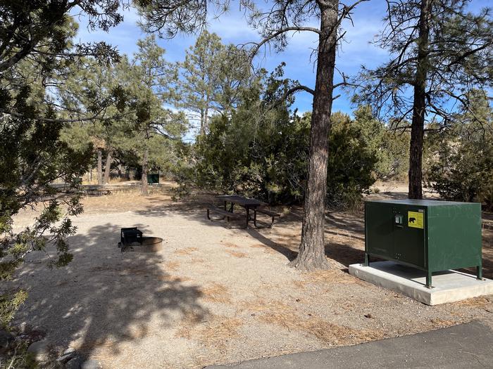 A photo of Site 11 of Loop Abert's Squirrel at JUNIPER CAMPGROUND with Picnic Table, Fire Pit, Food Storage