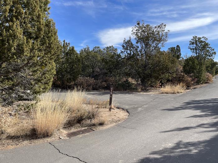 A photo of Site 15 of Loop Abert's Squirrel at JUNIPER CAMPGROUND