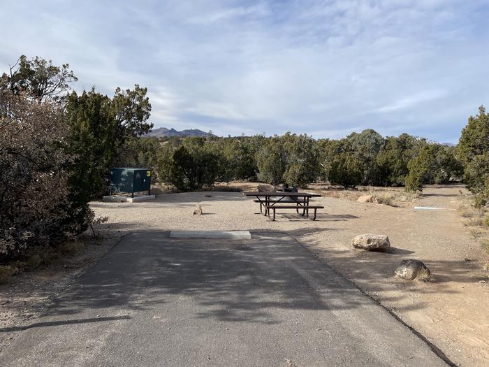 A photo of parking area at Site 4 of Loop Abert's Squirrel at JUNIPER CAMPGROUND