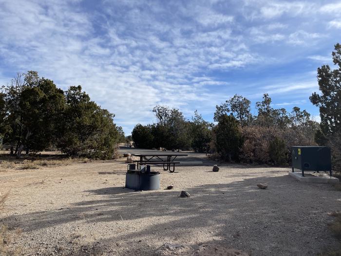 A photo of Site 4 of Loop Abert's Squirrel at JUNIPER CAMPGROUND with Fire Pit