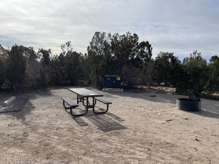 A photo of Site 4 of Loop Abert's Squirrel at JUNIPER CAMPGROUND with Picnic Table, Fire Pit, Food Storage