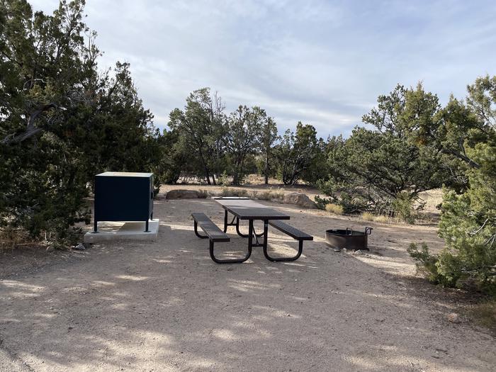 A photo of Site 6 of Loop Abert's Squirrel at JUNIPER CAMPGROUND with Picnic Table, Fire Pit, Food Storage
